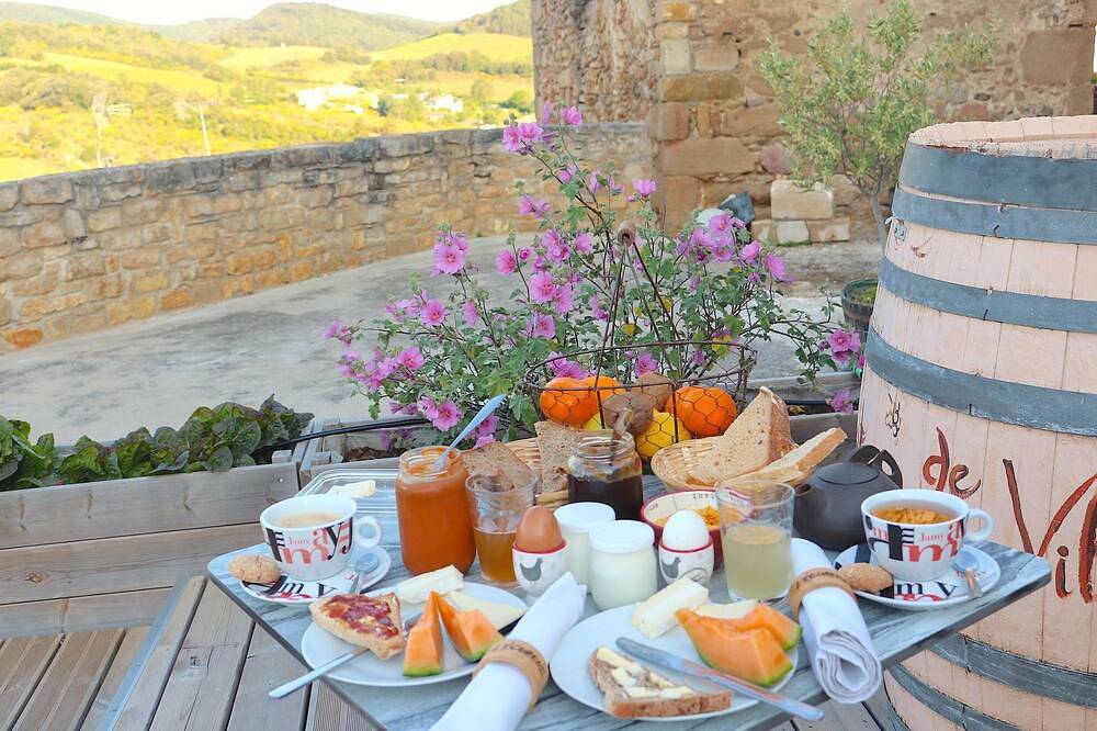Au Chateau de Villelongue, le Châtelet, dans l'Aude, Pays Cathare, animaux admis in Villelongue-d'Aude, Région de Limoux