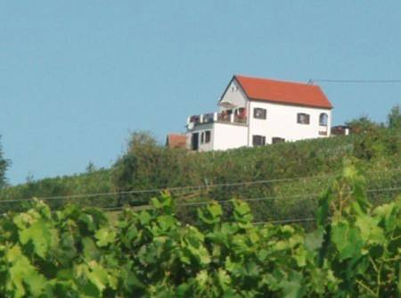Kellerstöckl Eisenberg/Pinka Weiner in Eisenberg an der Pinka, Südburgenland