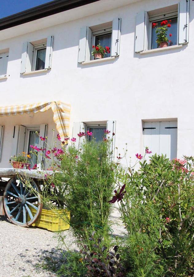 Gîte pour 3 personnes, avec jardin ainsi que vue et terrasse, animaux acceptés à Paderno del Grappa - 4