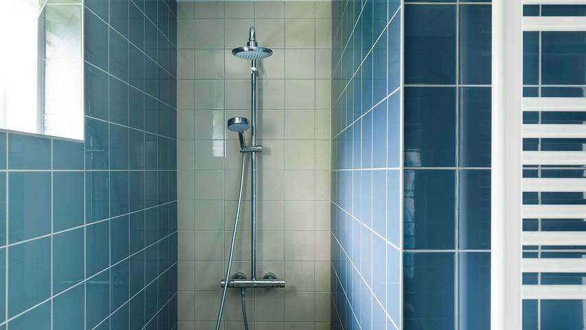 Ferienhaus für 8 Personen, mit Sauna und Whirlpool sowie Garten in Earnewâld - 3