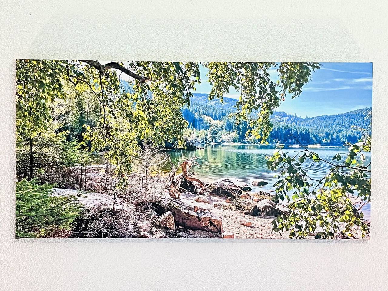 Appartement entier, Kaiser - Kaiser 660.1 in Blasiwald (Schluchsee), Schluchsee