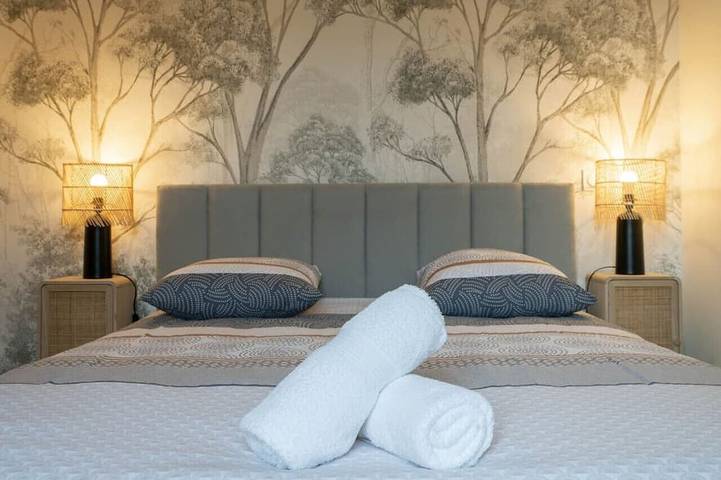 Ganze Wohnung, Designwohnung im Herzen der Stadt - Parc des Sources in Vichy, Vichy und Umgebung