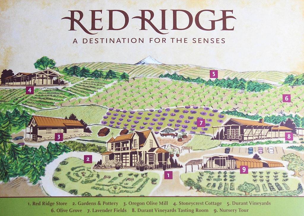 Ganze Wohnung, Versteckte Hügel Entfliehen Sie einem Weinlandjuwel! 2 King Schlafzimmer, 5 Minuten Fahrt in die Innenstadt in Yamhill County