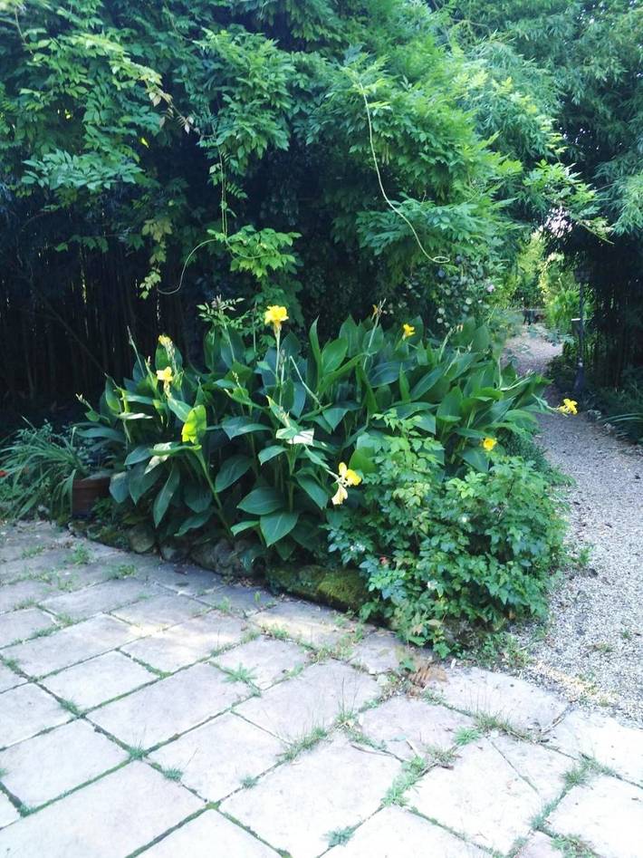 Location de vacances pour 4 personnes, avec jardin, animaux acceptés à Moulis-en-Médoc - 3