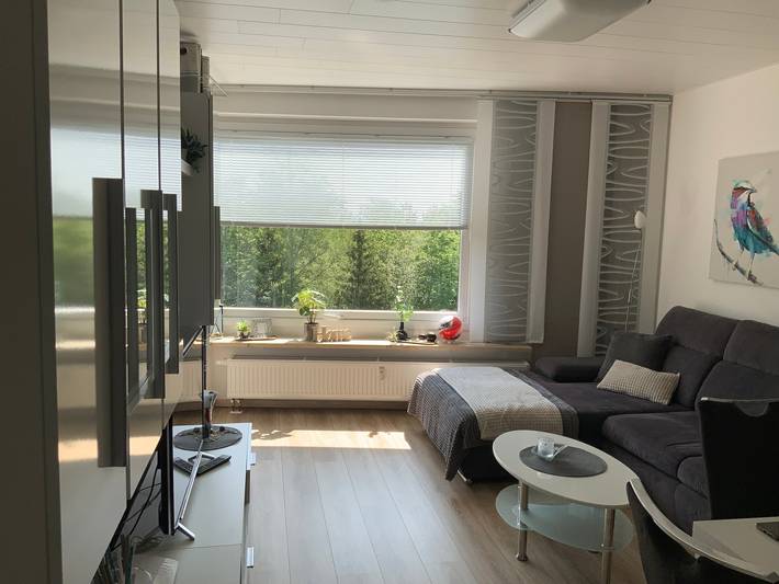 Ganze Wohnung, Ferienwohnung 'Fuchsenstein 44' mit Balkon und Wlan in Spiegelau, Ostbayern