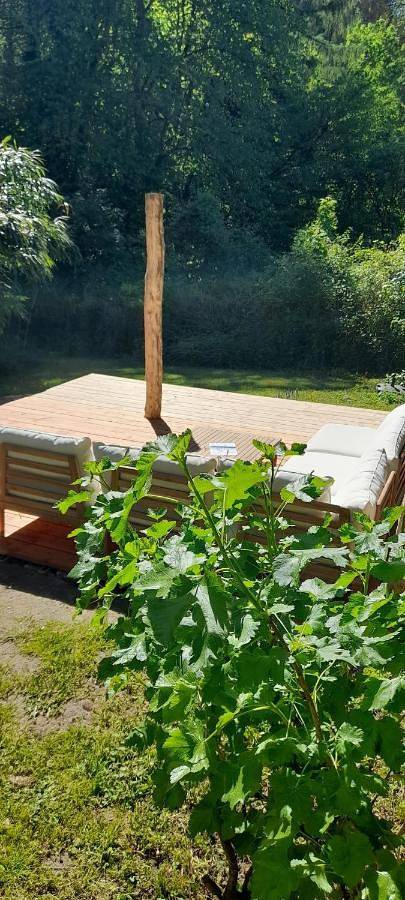 Ferienwohnung für 4 Personen, mit Terrasse und Garten in Seeheim-Jugenheim
