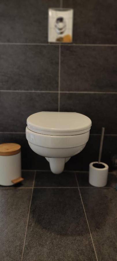 Gîte pour 3 personnes, avec vue et jardin à Lézat-sur-Lèze - 2