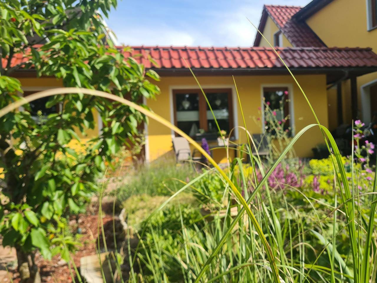 Ganze Ferienwohnung, Bungalow am Ostseeradweg Rerik - Bungalow mit Terrasse (50m², max 4 Personen) in Ostseebad Rerik, Rerik