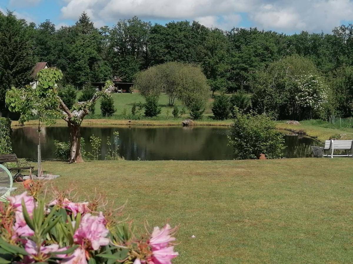Chambres d hôtes chez Isabelle in La Ferté-Saint-Cyr, Sologne