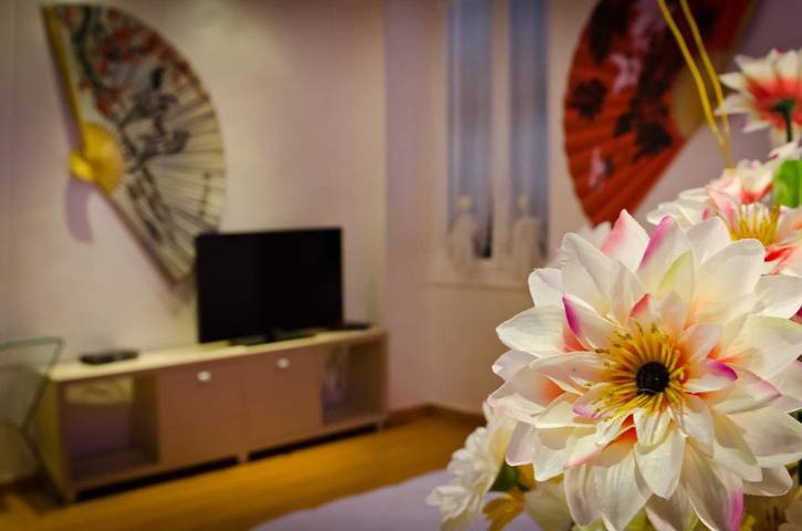 Maison d’hôte pour 2 personnes, avec terrasse, animaux acceptés à San Remo - 2