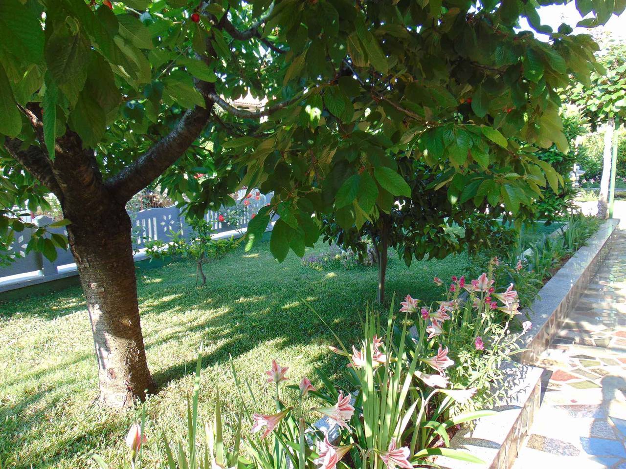 Appartement de vacances entier, Appartement de vacances avec climatisation, Internet et barbecue  in Rovinj, Région de Rovinj