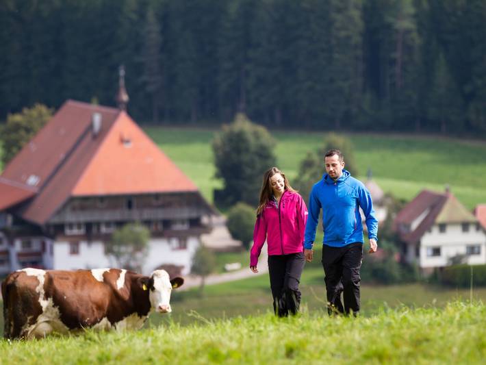 Ganze Ferienwohnung, Unterfallengrundhof - Ferienwohnung, 67 qm, Balkon, 1 Schlafraum, max. 4 Personen in Furtwangen, Südschwarzwald