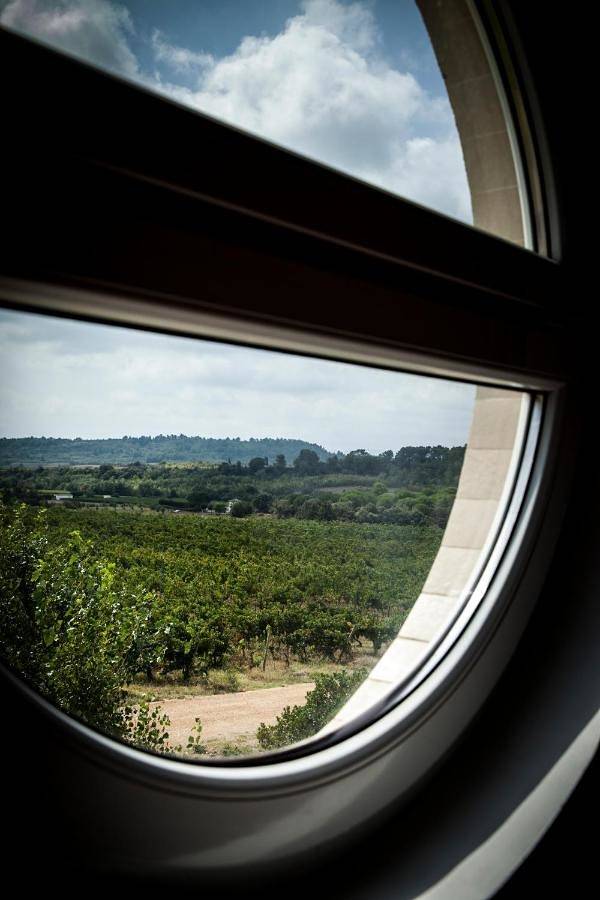 Gîte pour 8 personnes, avec sauna et piscine ainsi que jardin et vue à Conques-sur-Orbiel - 3