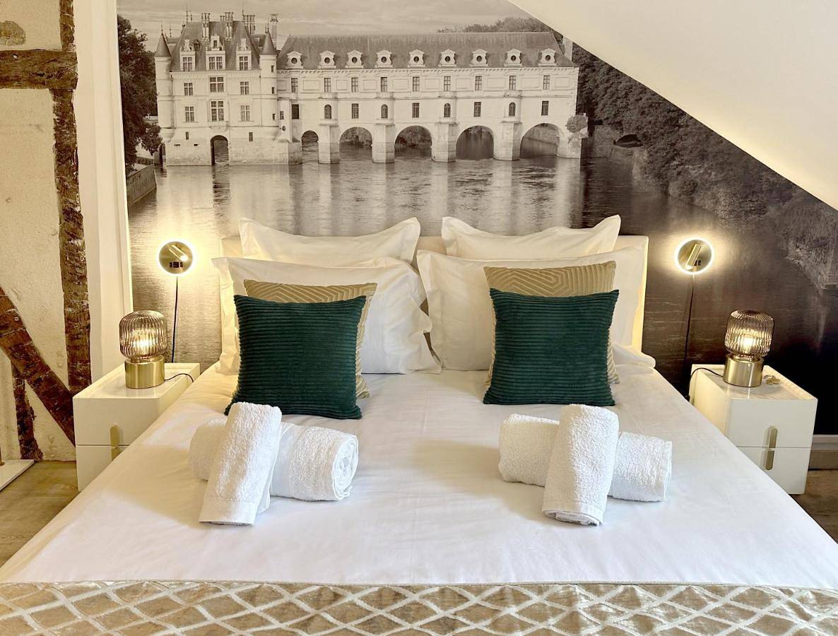 Appartement entier, Amboise hyper centre - Cocon Royal à deux pas du Château in Amboise, Région de Tours
