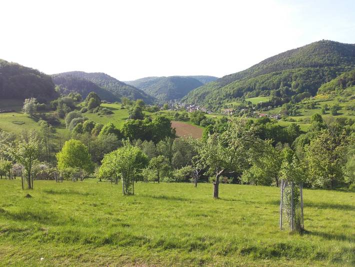 Ferienwohnung für 2 Personen, mit Terrasse im Pfälzer Wald - 4
