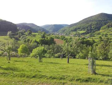 Ferienwohnung für 2 Personen in Eußerthal, Pfälzer Weinland, Bild 3