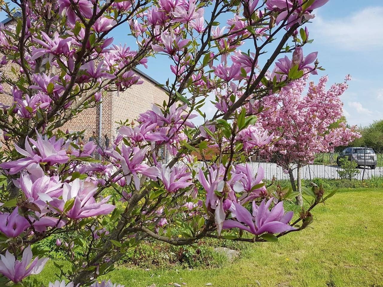 Double Room with Garden View in Aulnoye-Aymeries, Avesnes-sur-Helpe