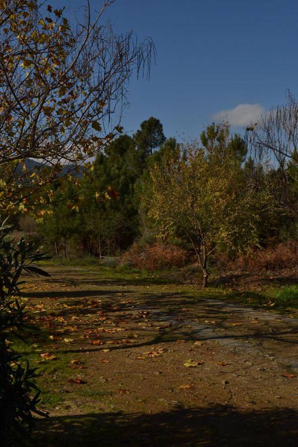 Casa de vacaciones para 4 personas, con jardín y vistas en Sierra de Gata - 4