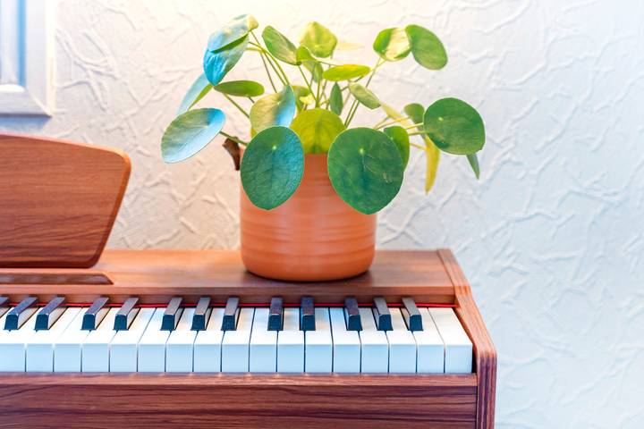 Ferienwohnung für 3 Personen in Biarritz - 4