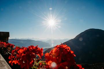 Agriturismo per 4 Persone in Foiana, Lana, Foto 2