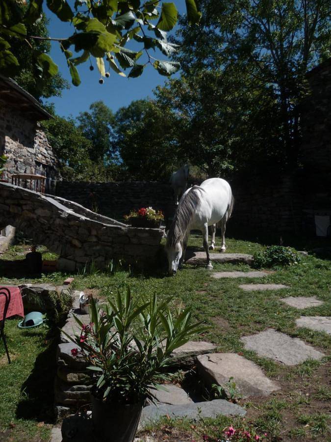 Chambre d’hôte pour 2 personnes, avec jardin, animaux acceptés en Haute-Loire - 4