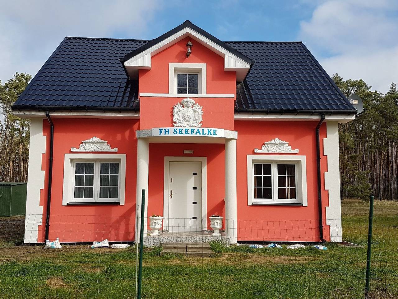 Seefalke in Nowe Warpno, Stettiner Haff