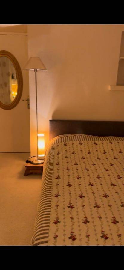 Location de vacances pour 2 personnes, avec terrasse ainsi que sauna et jardin à Champagney - 2