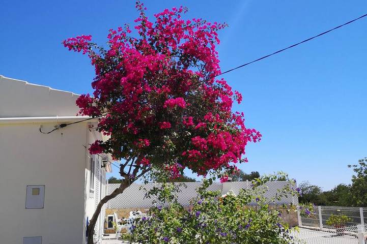 Casa de una planta a 10 km de Faro in Santa Bárbara de Nexe, Distrito de Faro