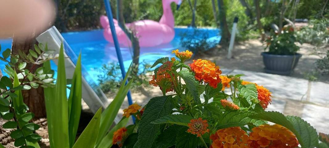Ferienhaus für 3 Personen, mit Balkon und Terrasse sowie Garten und Kinderpool in Tolo - 4