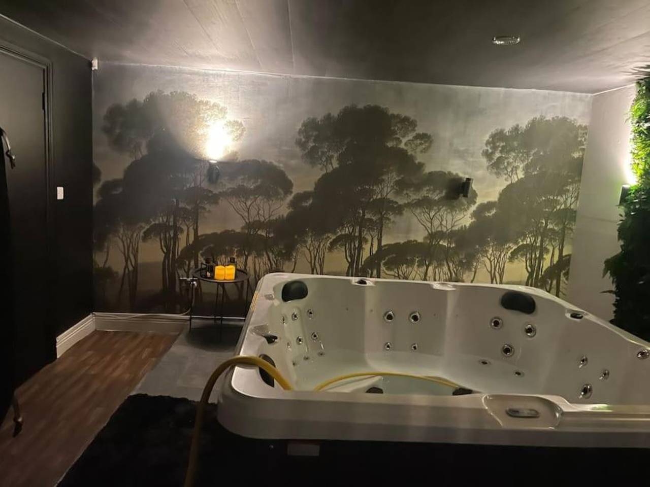 Ganze Ferienwohnung, The Exclusive Jacuzzi Apartment in Birmingham, Birmingham und Umgebung
