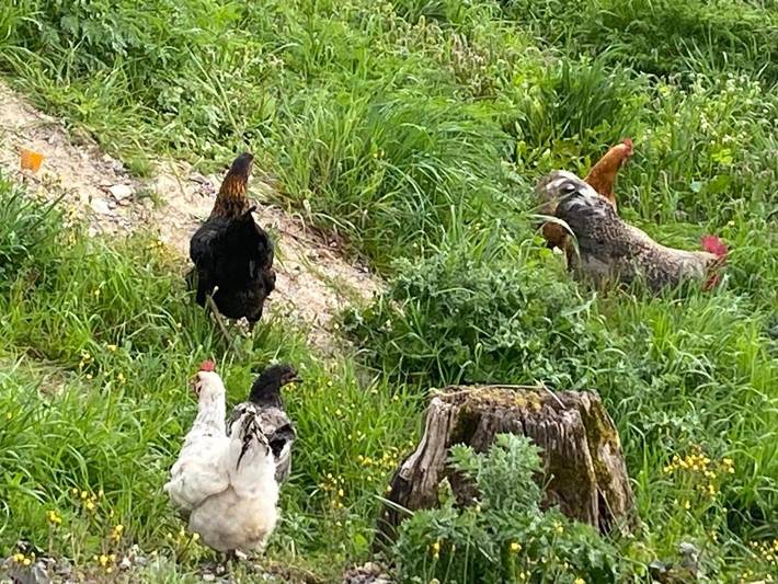 Location de vacances pour 5 personnes, avec vue et terrasse à Lablachère - 3