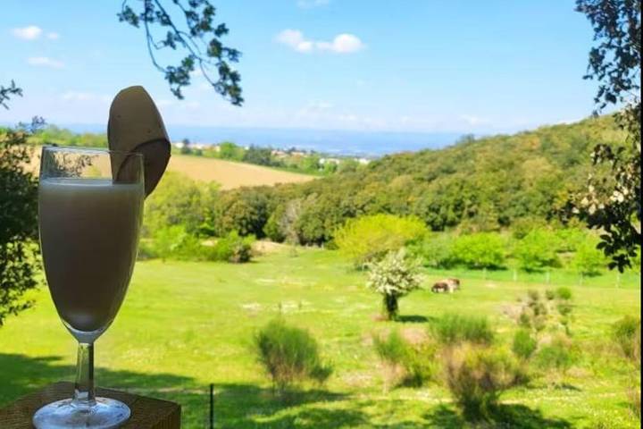 Gîte pour 10 personnes, avec Balcon et Jacuzzi ainsi que Terrasse et Piscine à Alairac