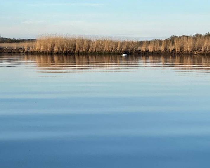 Boot für 2 Personen, mit Terrasse und Seeblick am Greifswalder Bodden - 2