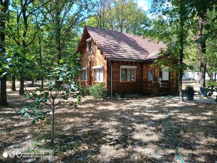 Chalet pour 4 personnes, avec jardin et terrasse - 1