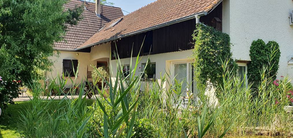 Cottage 'Au Cœur Des Roseaux' with private terrace, shared garden and Wi-Fi in Grussenheim, Colmar region