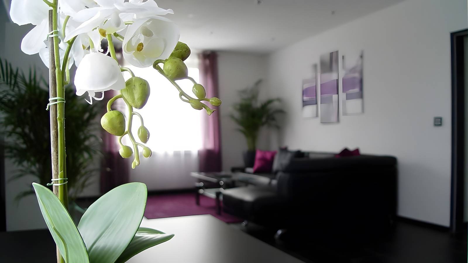 Ganze Wohnung, La Domus Superior – Exklusive Ferienwohnung in Lotte (68 m²) in Lotte, Nordrhein-Westfalen
