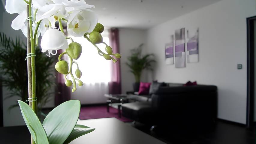 Ferienwohnung für 2 Personen, mit Balkon und Garten in Lotte - 3