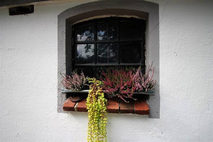 Pension für 4 Personen, mit Garten und Ausblick sowie Terrasse in Schleswig-Holstein - 3