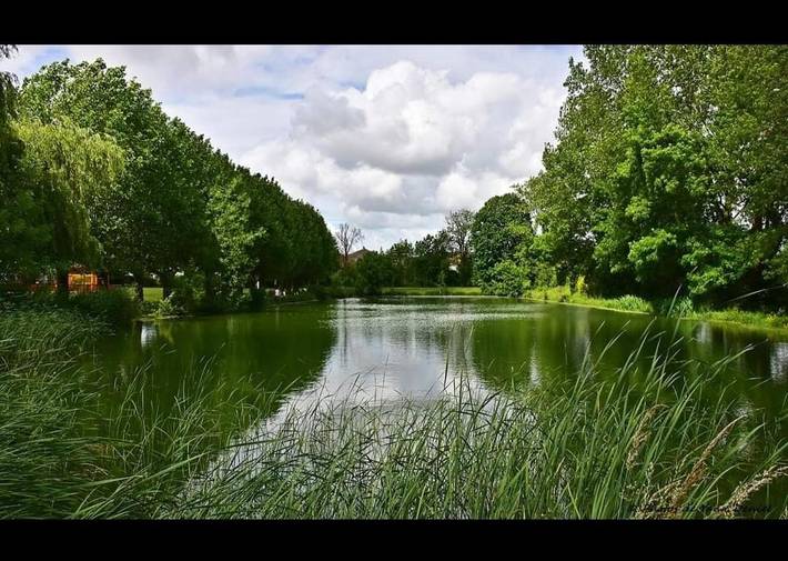 Location de vacances pour 4 personnes, avec terrasse, animaux acceptés dans La Devise - 3