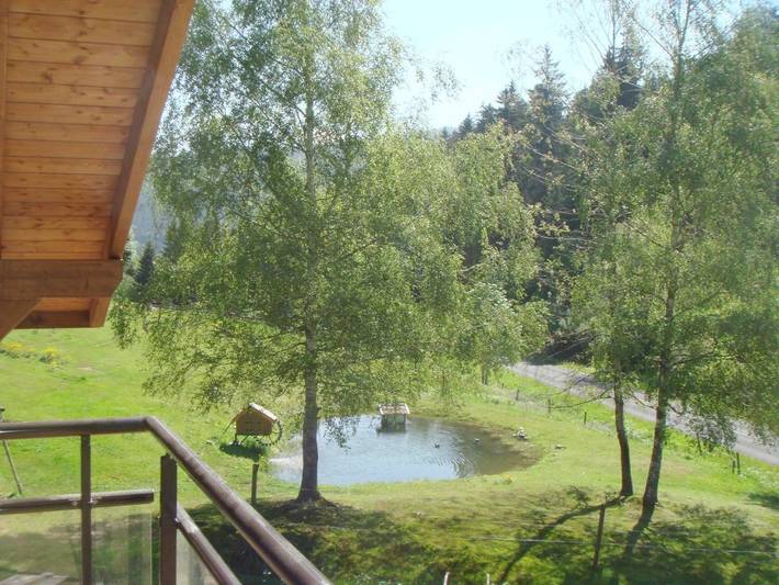 Gîte pour 6 personnes, avec vue et jardin à Le Valtin - 3