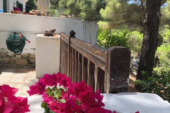 Villa für 6 Personen, mit Balkon und Garten, mit Haustier auf Skiathos