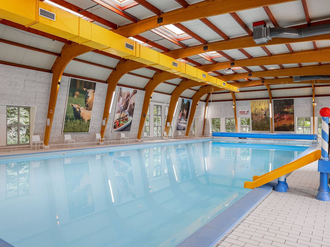 Chalet met vaatwasser nabij natuurreservaat in Borger, Drenthe