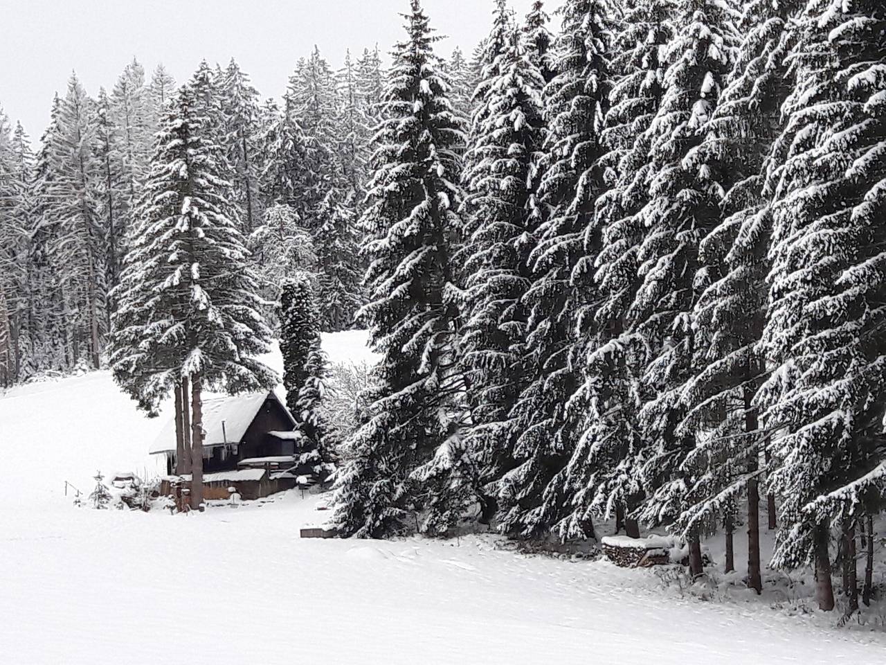 Maison de vacances « Mühle-am-Wolfsgrund » avec vue sur la montagne, terrasse et jardin privés in Unterkirnach, Forêt-Noire centrale