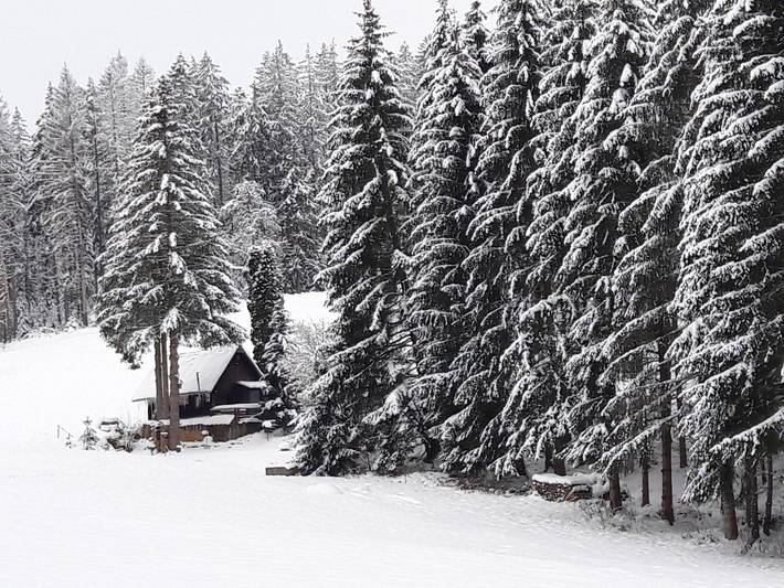 Ferienhaus für 4 Personen, mit Balkon und Garten in Mittlerer Schwarzwald - 2