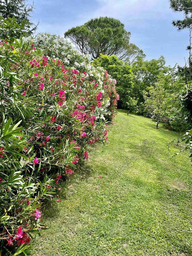 Location de vacances pour 6 personnes, avec jardin et piscine à Les Granges-Gontardes - 4