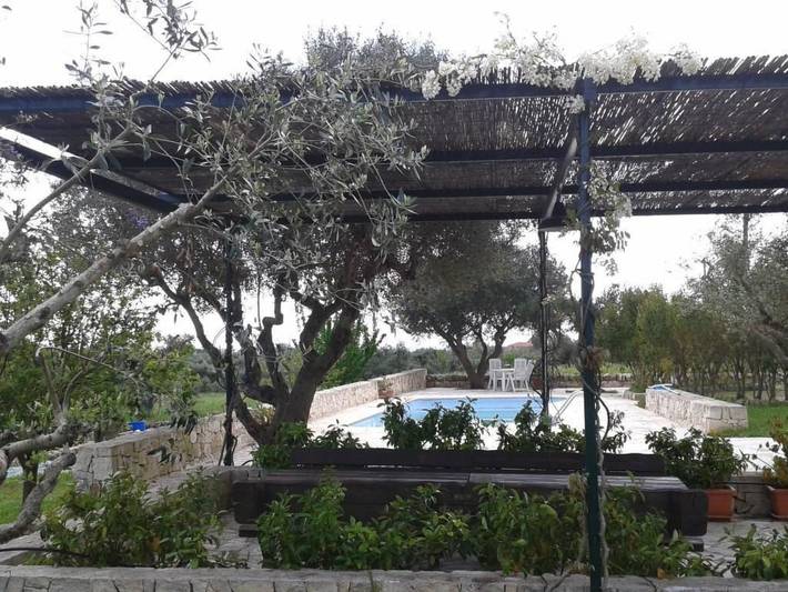 Location de vacances pour 4 personnes, avec piscine et jardin, animaux acceptés à Locorotondo - 4