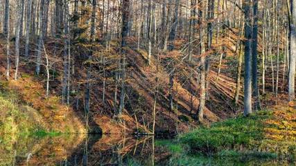 Ferienwohnung für 2 Personen in Hilders, Rhön-Hessen, Bild 2