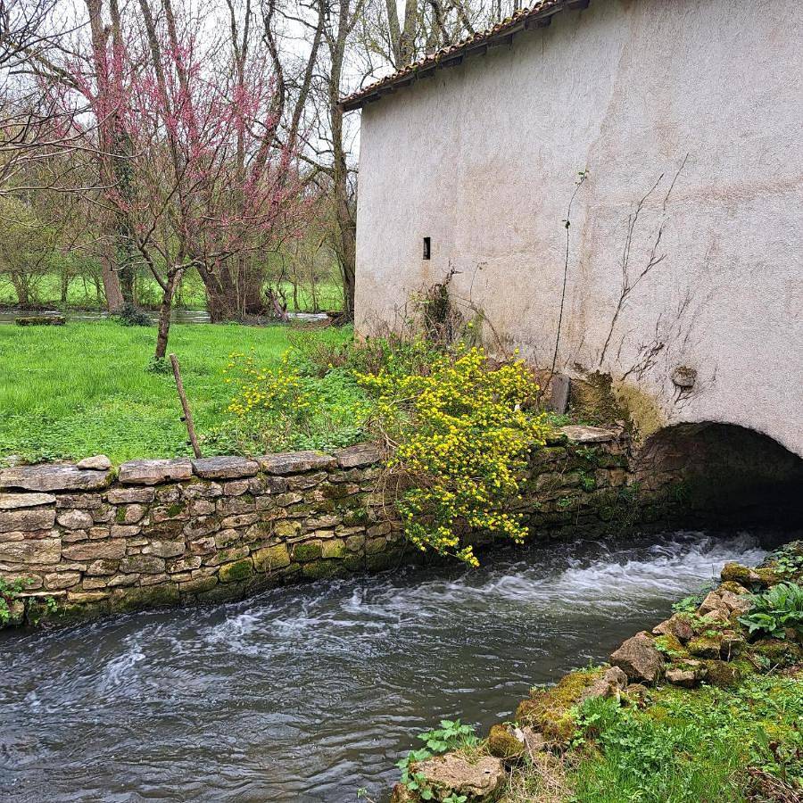 Two-Bedroom House in Valence-en-Poitou, Vienne (France)
