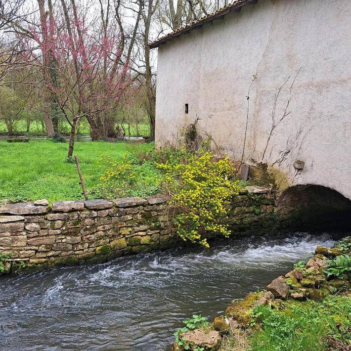 Location de vacances pour 5 personnes, avec terrasse et vue, animaux acceptés dans Valence-en-Poitou - 2