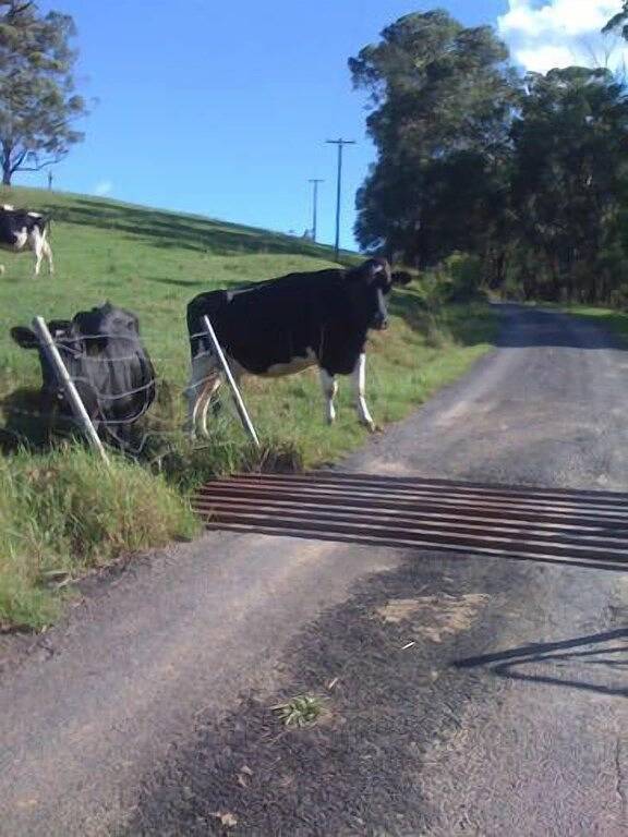 Die Himmel - Aurora und Inanna in Barrengarry, New South Wales